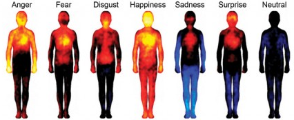emotie in je lichaam